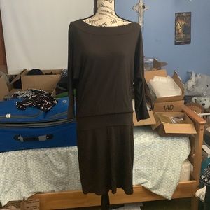 Ann Taylor Brown Dress